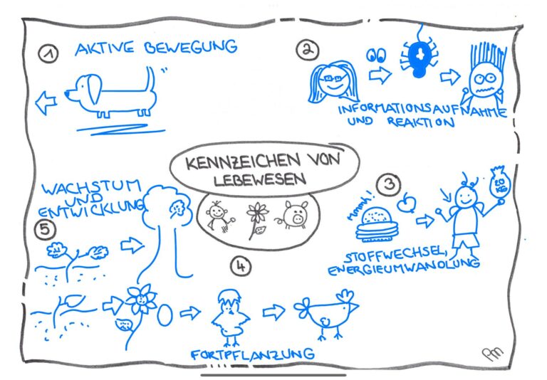 5Visualisierung_klein3