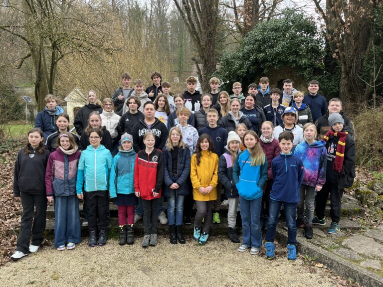 Enz 1